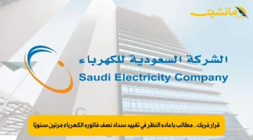 قرار مُربك.. مطالب بإعادة النظر في تقييد سداد نصف فاتورة الكهرباء مرتين سنويًا